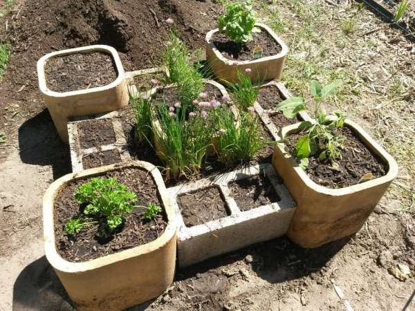 Des parpaings et des tuiles de cheminée pour un jardin surélevé original