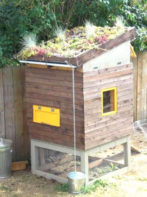 Un joli poulailler avec un jardin pour le toit