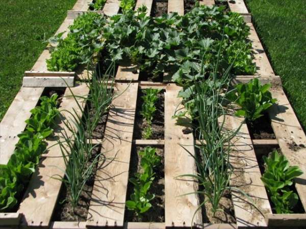 Un jardin surélevé en utilisant des palettes en bois