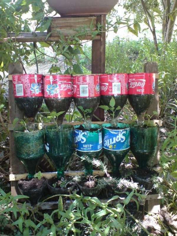 Jardin vertical avec des bouteilles en plastique