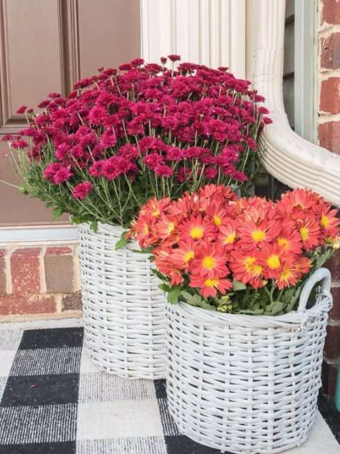 Des paniers garnis de fleurs pour égayer votre entrée