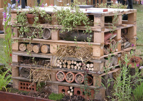 Hotel à insectes pour l'hiver