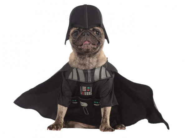 Déguisement star wars pour chiens