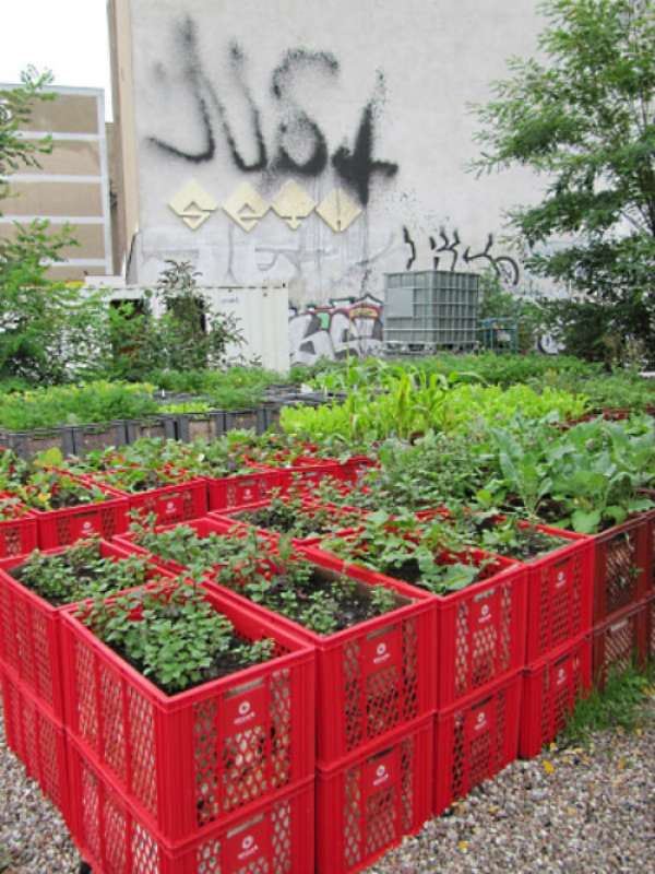 Des paniers en plastique pour faire pousser des plantes