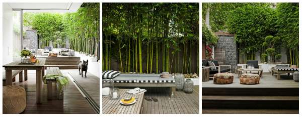 Un jardin zen