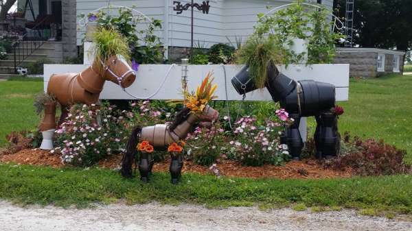 Petits chevaux tout mignons