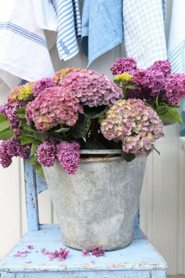 Pot pour décoration florale à partir d'un seau vintage