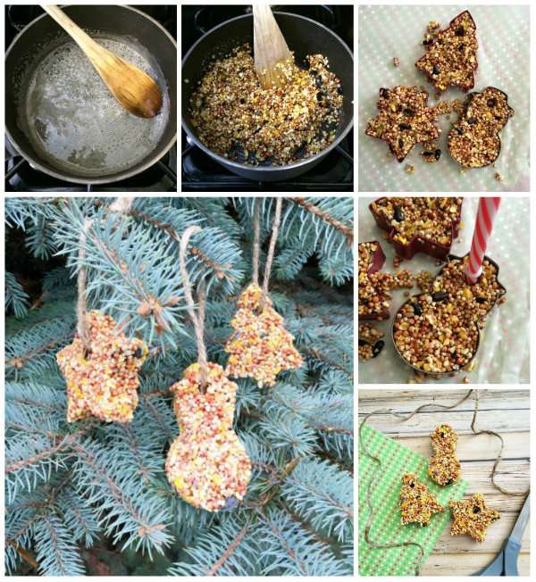 Des cookies à oiseaux