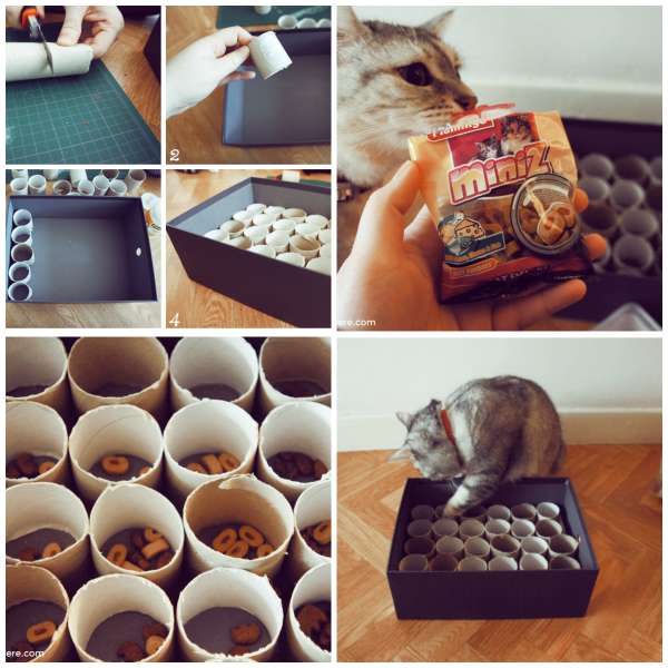 Jeu pour chats