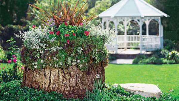 Un tronc d'arbre déguisé en une belle jardinière digne d'un magazine de jardinage