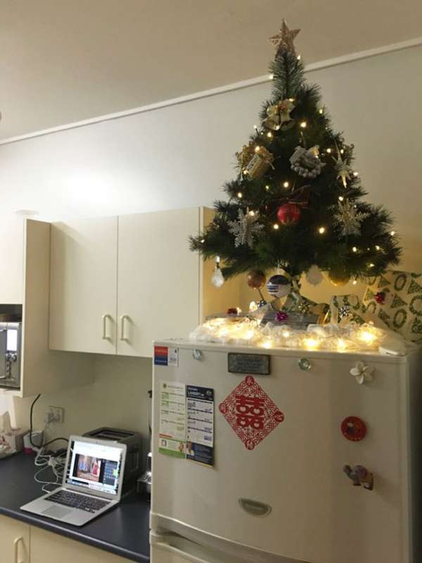 Un petit sapin de noël au-dessus du frigo est une solution pratique contre vos animaux de compagnie