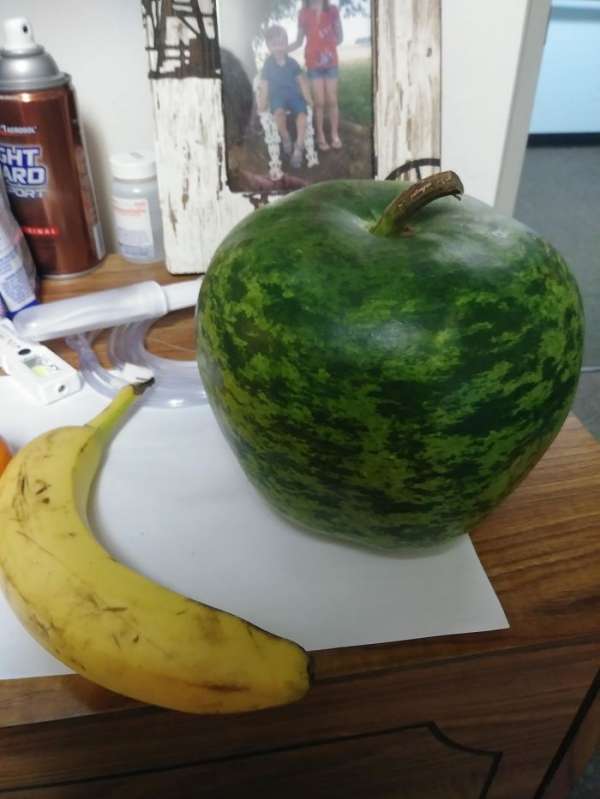 Une citrouille qui ressemble à une pastèque en forme de pomme