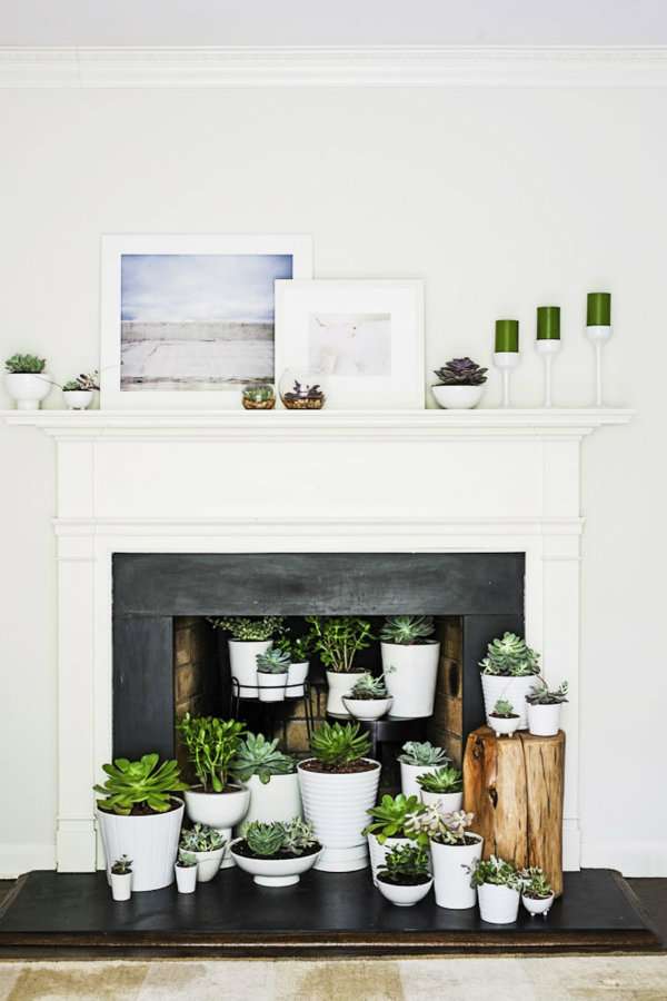 Utilisez plusieurs plantes pour décorer votre cheminée de partout