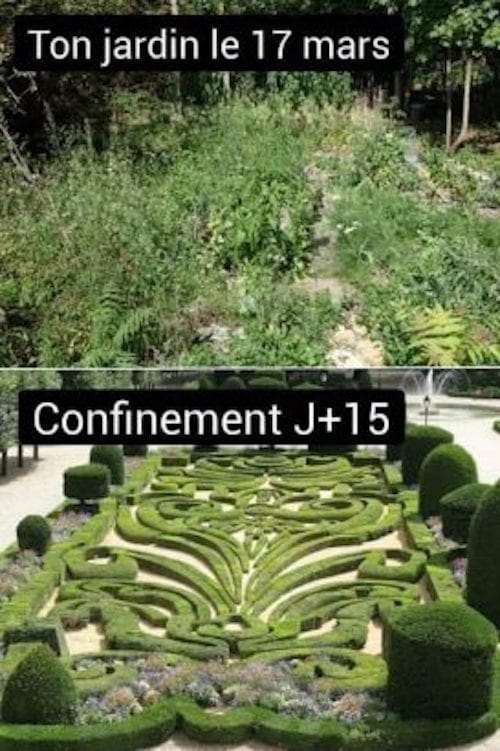 Pour les fans de jardinage en confinement