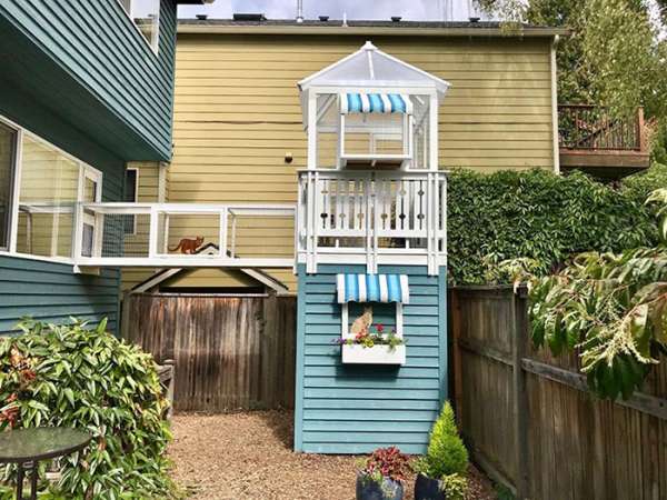 Un Catio façon tour avec une décoration sur les tons de bleus