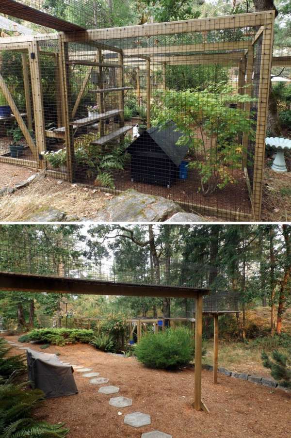 Un grand patio pour chat, parfait dans les jardins spacieux