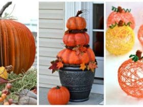 15 Citrouilles d'Halloween DIY qui Surprennent par leur Originalité