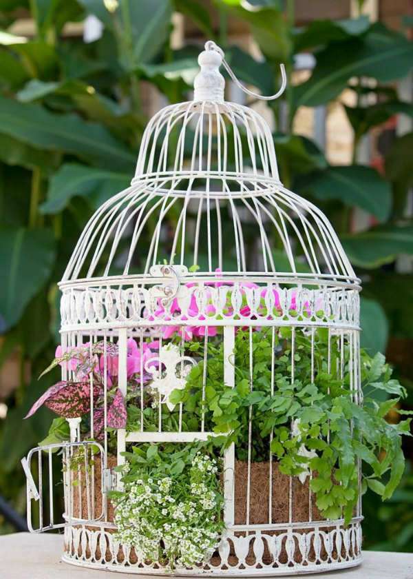Vous pouvez vous servir d'une cage à  oiseaux comme cache-pot