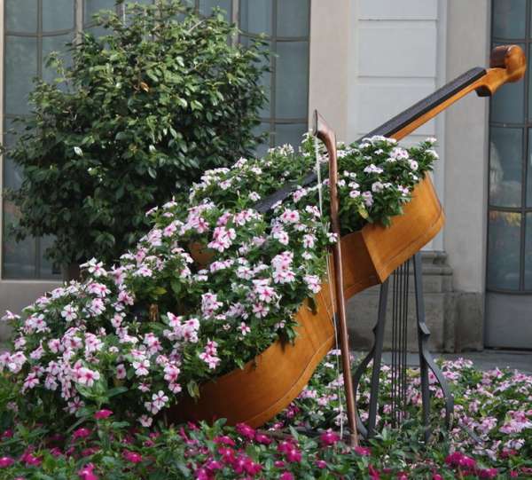 Violoncelle fleurie pour les amoureux de la musique