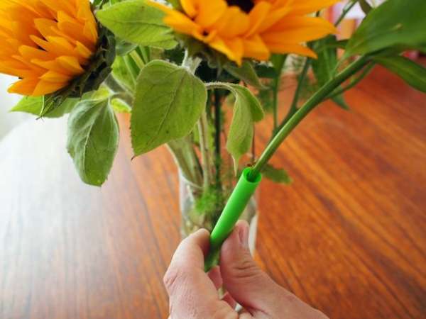 Faire un bouquet de fleurs parfait