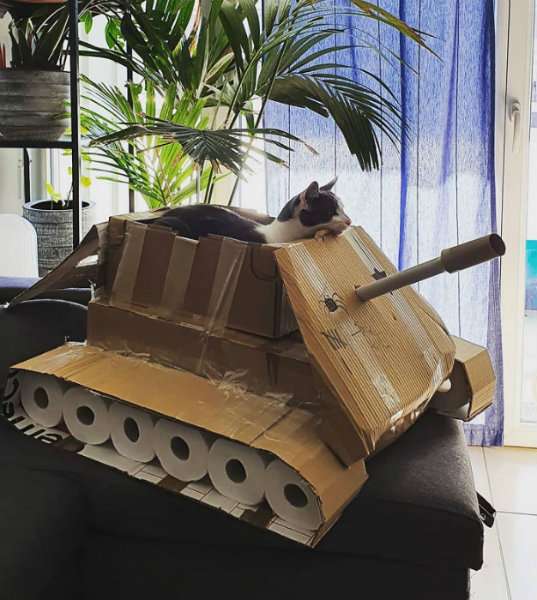 Personne ne peut m'arrêter maintenant avec mon grand tank