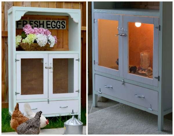 Armoire transformée en élevage de poussins