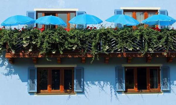 Brise-vue avec des plantes et des parasols