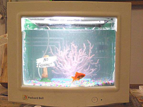 Ecran d'ordinateur de récup' transformé en aquarium