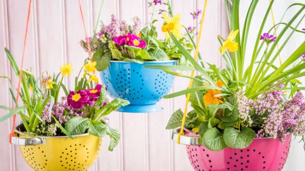 Jardinière suspendue avec une passoire