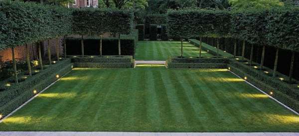 Jardin minimaliste avec éclairage nocturne