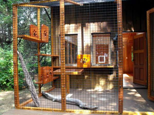 Un Catio avec des volets en bois pour que chaque chat ait sa propre intimité