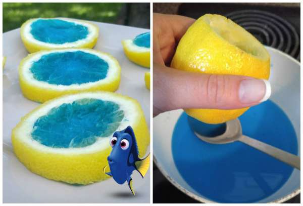 De la gelée bleue dans des tranches de citron