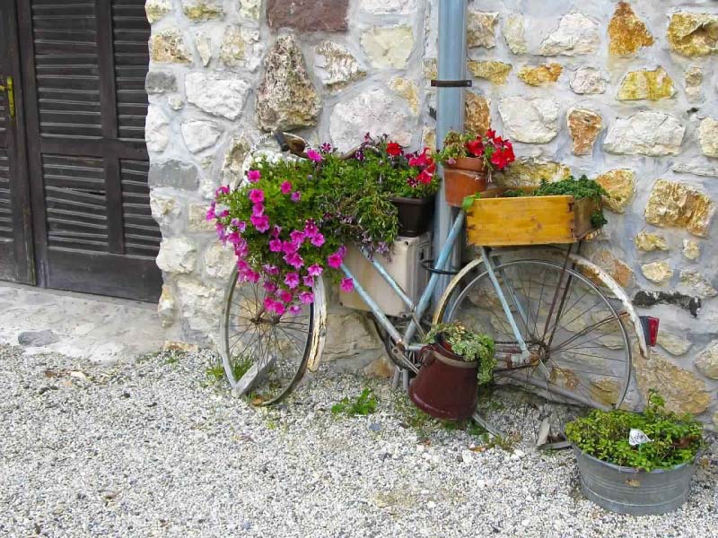 Vélo jardinière