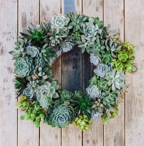 Une couronne de Noël en succulentes