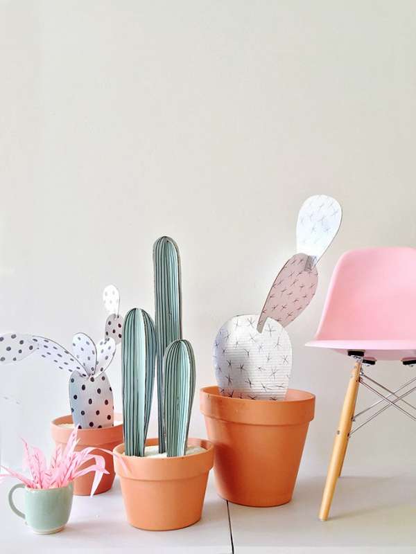 Des cactus décoratifs