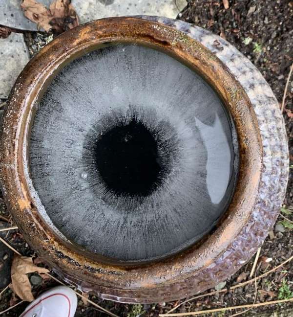 On dirait que c'est un œil et pas un pot avec de la glace à l'intérieur