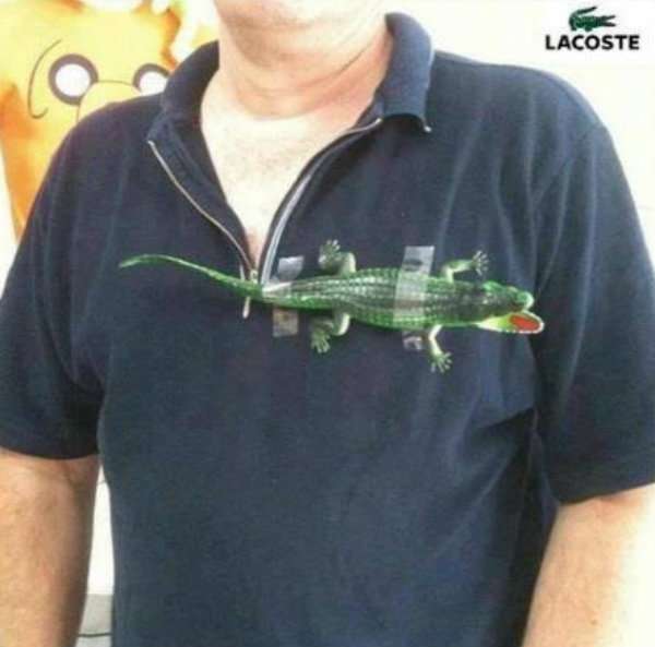 Le brouillon du logo Lacoste