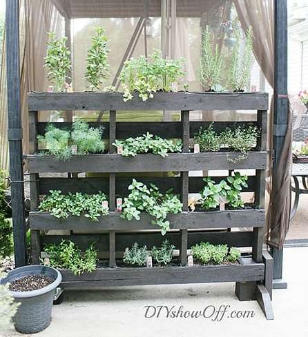 Un jardin de plantes aromatiques dans des bacs en palette