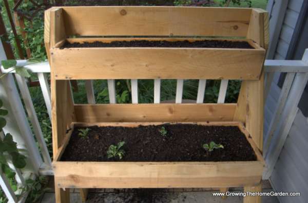 Un bac de plantes à deux niveaux utilisé en tant que jardin surélevé