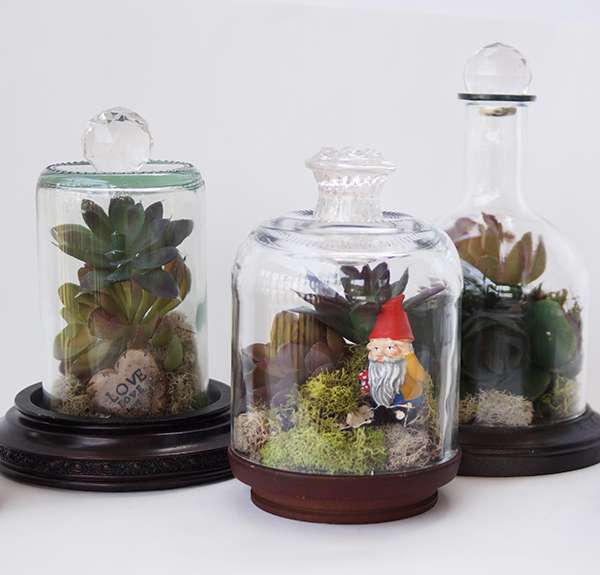 Faites un petit terrarium sympa avec une bouteille de vin vide