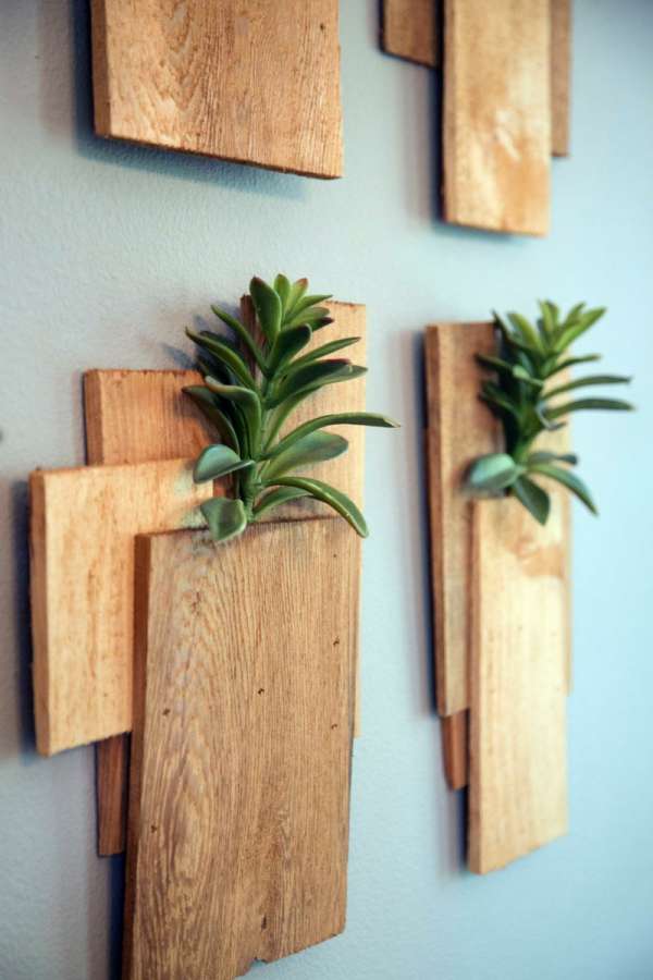 Un jardin vertical avec des planches de bois façon décoration murale