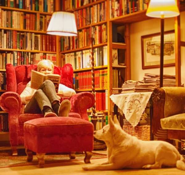 Une bibliothèque vraiment très cosy