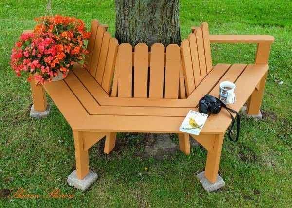 Banc autour d'un arbre avec du bois de palettes