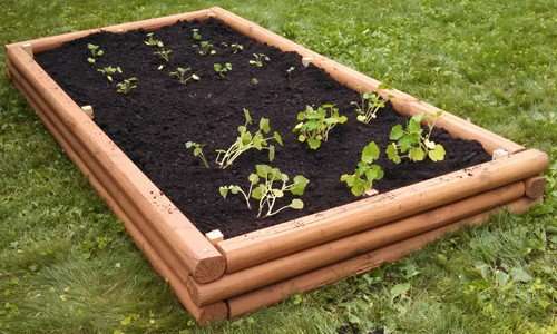 Un jardin surélevé en utilisant du bois d'aménagement extérieur