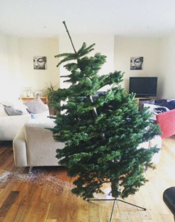 Quand le sapin ne veut pas tenir droit