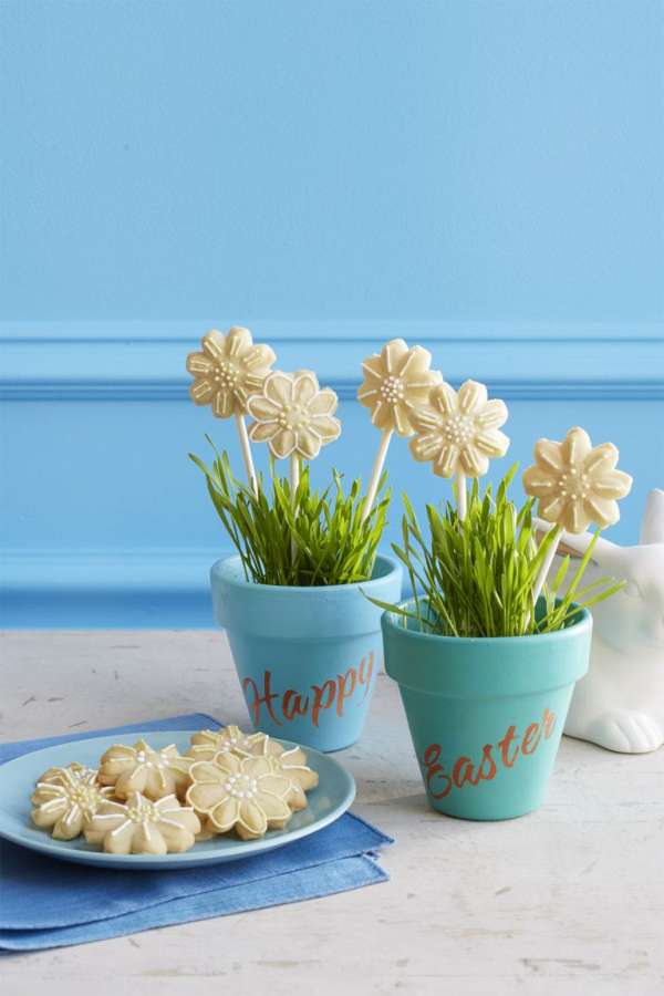 Biscuits marguerites