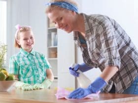 Secrets de Grand-Mère pour une Maison Bien entretenue