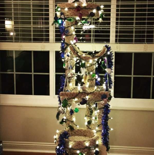 L'arbre à chat transformé en sapin