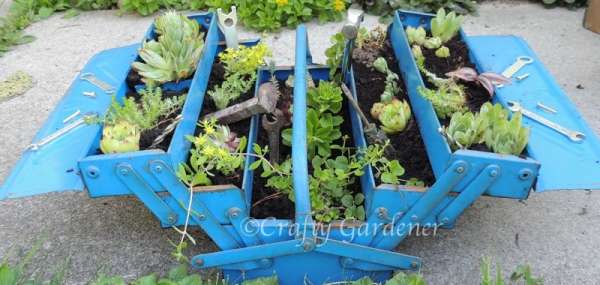 Jardinière multiple avec une boite à outils