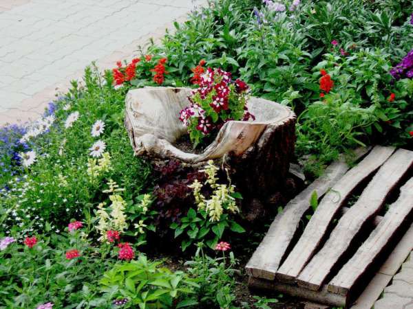 Une souche d'arbre dont la forme correspond parfaitement à une jardinière, idéale pour des petites fleurs